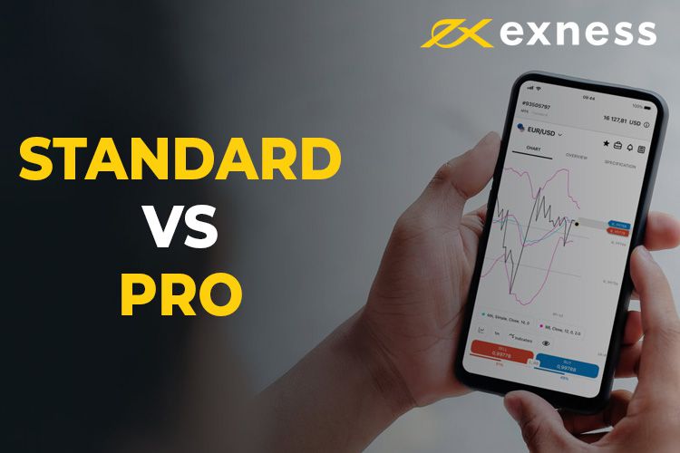 Comprehensive Exness Forex Review Unveiling Trading Opportunities